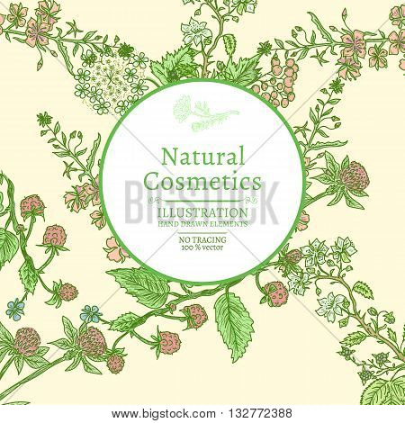 Vector vintage frame with wild flowers and herbs hand drawn sketch