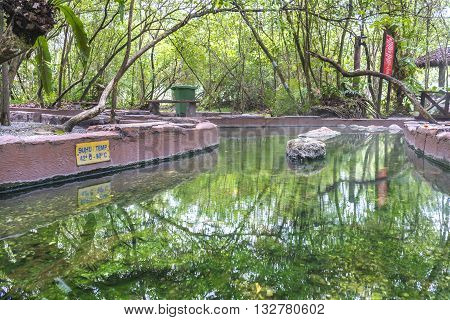 Hot spring with green tree and reflection