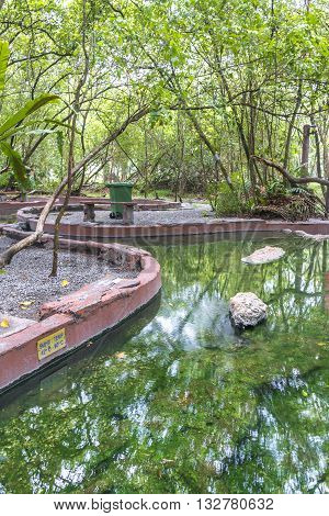 Hot spring with green tree and reflection