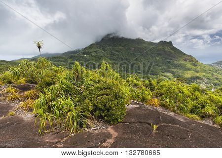 Mount Copolia, Mahe, Seychelles