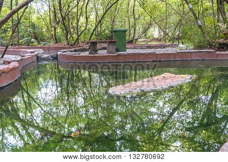 Hot spring with green tree and reflection