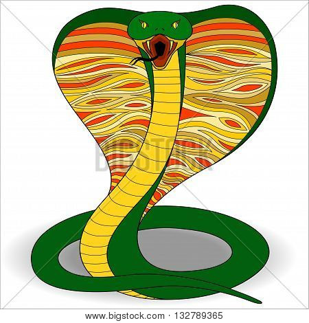 picture of aggressive green cobra before attacking
