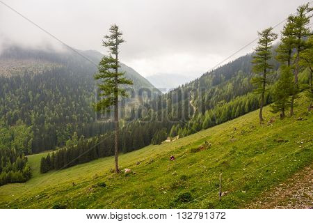 Alpine mountain panorama near Schneeberg in Lower Austria
