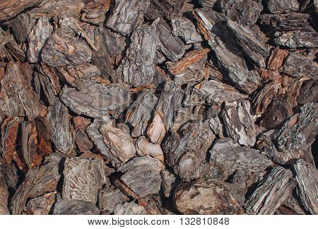 The texture of chopped, pine bark close-up.