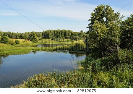Country landscape with small forest lake in summer time