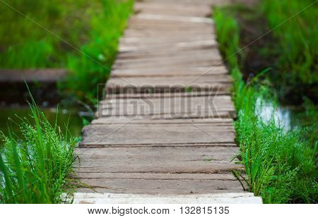 wooden bridge over a stream in the woods