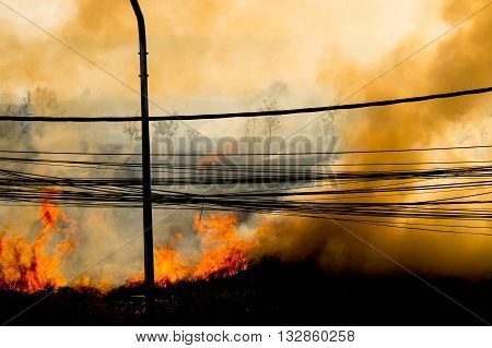 wildfire at side of road sihouette background