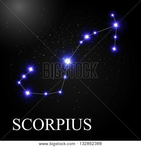 Scorpius Zodiac Sign with Beautiful Bright Stars on the Background of Cosmic Sky Vector Illustration EPS10