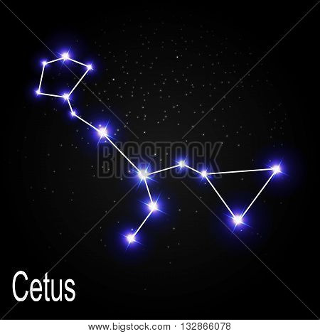 Cetus Constellation with Beautiful Bright Stars on the Background of Cosmic Sky Vector Illustration EPS10