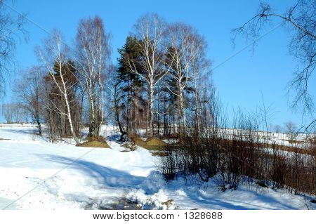 Alberi