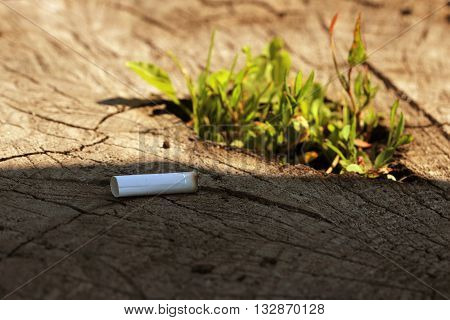 stub of cigarette are lying on a tree stump germinating