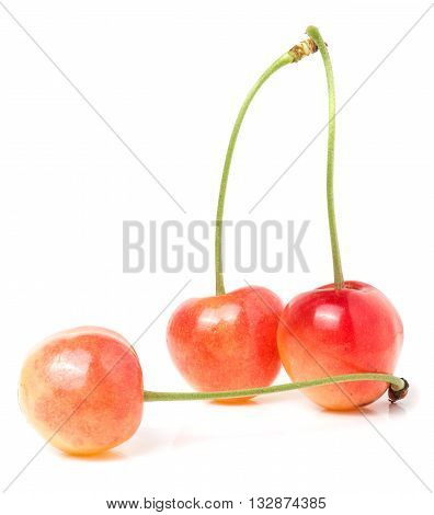 Three yellow cherry isolated on white background.