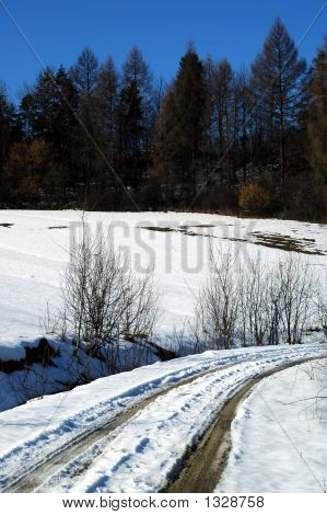 Pista