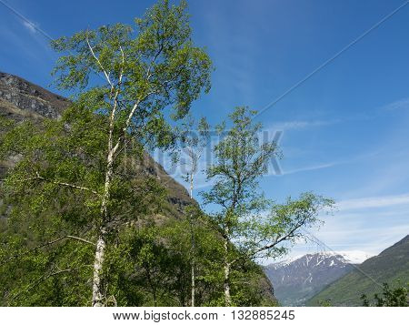 a cruise through the famous norwegian fjoerds