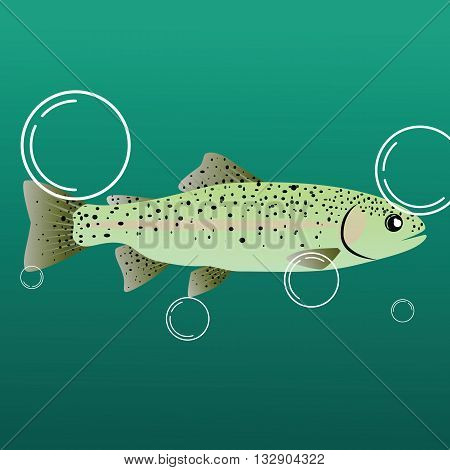 Flat cartoon image of trout .River fish.