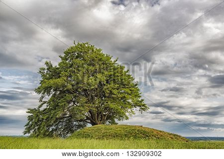 Ronneberga slopes is a collection of burial mounds 5 km east of Landskrona in Skåne Sweden.