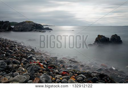 Rocky coastline near Arisaig with red alga Highlands Scotland