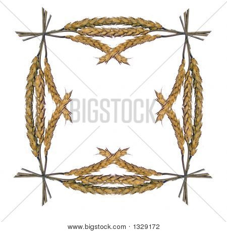  Quadro de espigas de trigo 1