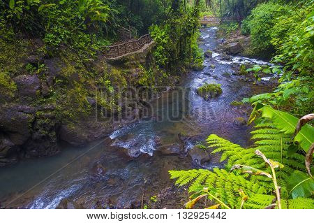Stream at a tropical rainforest in Costa Rica at La Paz Waterfall Gardens