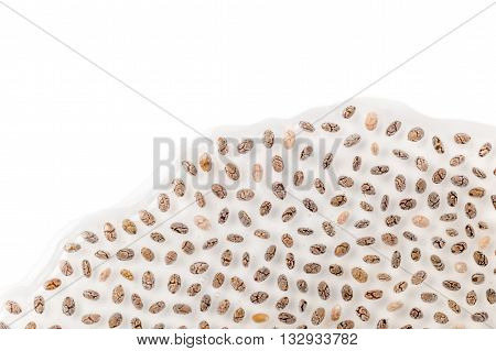 Mucilaginous Gel-like Coating Around Chia Seeds Over White Background