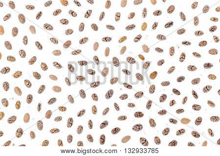 Mucilaginous Gel-like Coating Around Chia Seeds Over White Background