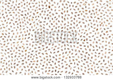 Mucilaginous Gel-like Coating Around Chia Seeds Over White Background