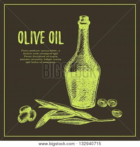 Olive branch hand drawn sketch illustration. Olive vector illustration. Olive branch hand drawn. Olive branch vintage designs. Olive branch label.