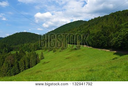 Mountains Pieniny in Slovakia and Poland in June