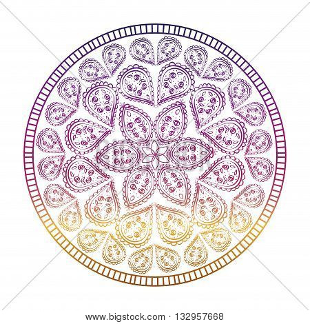Bohemio concept with icon design, vector illustration 10 eps graphic.