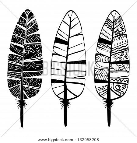 Bohemio concept with icon design, vector illustration 10 eps graphic.