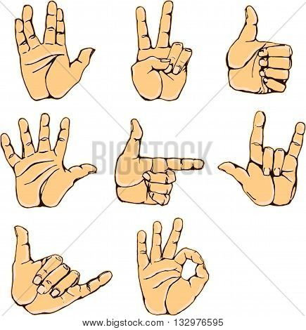 Hand gestures and sign language icon set. Isolated colorful illustration of vector human hands. Colorful hands vector collection-accuracy sketching of hand gestures - contour version at my gallery