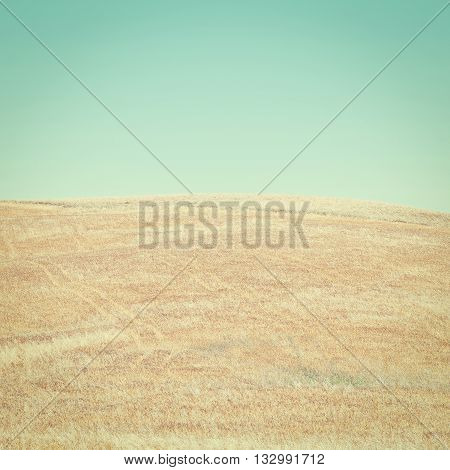 Wheat Fields on the Hills of Sicily Retro Effect