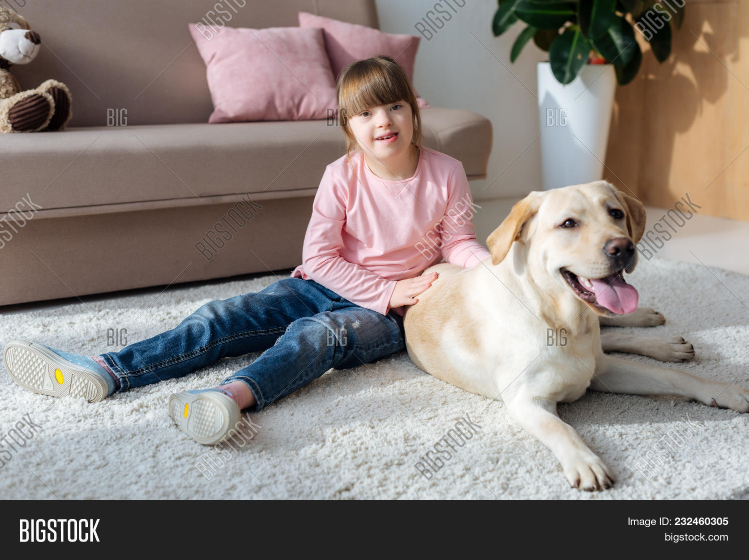 down syndrome labrador