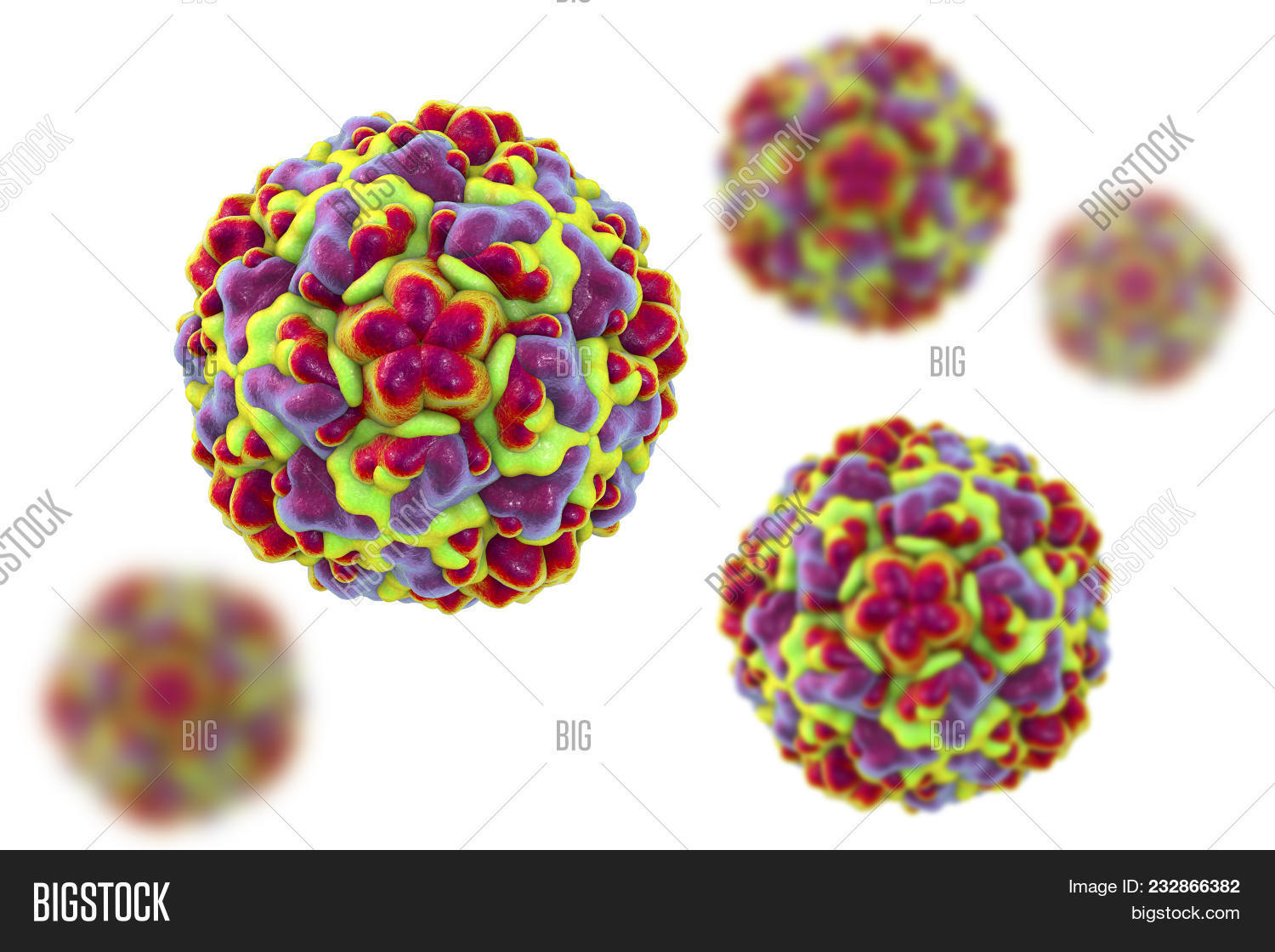 аденовирус вирус вирион. причины развития атеросклероза сосудов. пневмовирусы. колоноскопия и аноскопия и ректоскопия. как и чем лечить пяточную шпору.