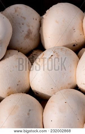 Photo Picture Of  Fresh White Mushroom Food Texture Background