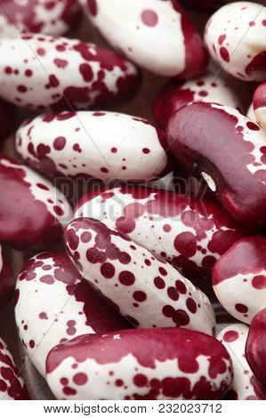 Texture Of Violet With Dots Beans.beans Handsome.swallow Beans.background Of Pinto Beans.cocnept Tex
