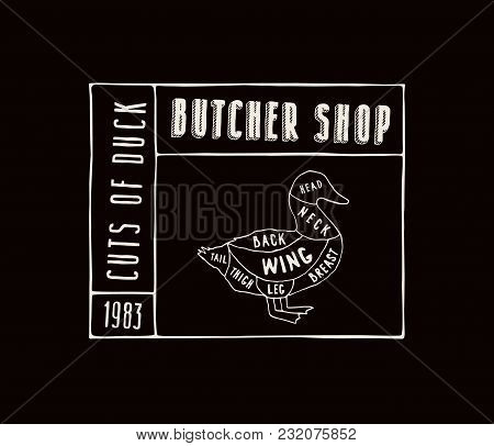 Stock Vector Duck Diagram In The Style Of Handmade Graphics. Label Template For Butcher Shop. White 