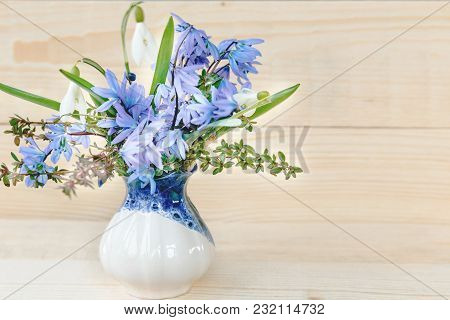 Bunch Of Spring Flowers. Snowdrop On The White Background