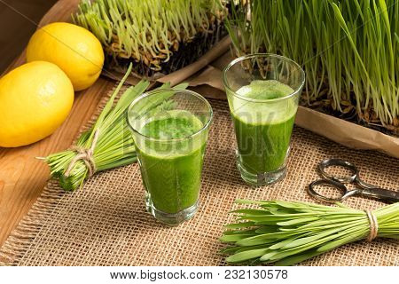 Two Barley Grass Shots With Freshly Grown Barley Grass.