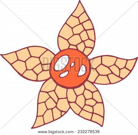Uchuva Tropical Fruit Color Isolated Art.tropical And Exotic Fruit. Vector Illustration.