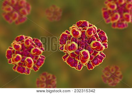 Hepatitis E Virus Molecular Model, 3d Illustration, Non-enveloped Rna Virus With Fecal-oral Transmis