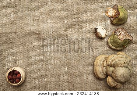 Shelf Fungus And Wild Berry In Jar On Sackcloth Background With Copy Space. Fungus Betulinus. Herbal