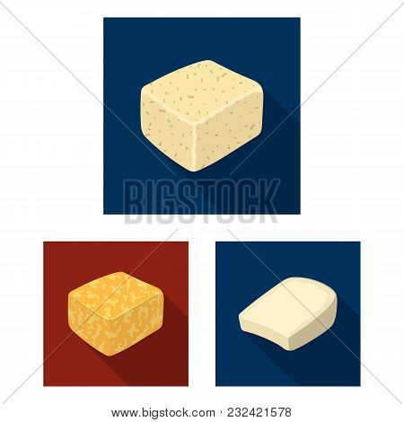Different Kind Of Cheese Flat Icons In Set Collection For Design.milk Product Cheese Vector Symbol S