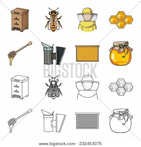 A Frame With Honeycombs, A Ladle Of Honey, A Fumigator From Bees, A Jar Of Honey.apiary Set Collecti