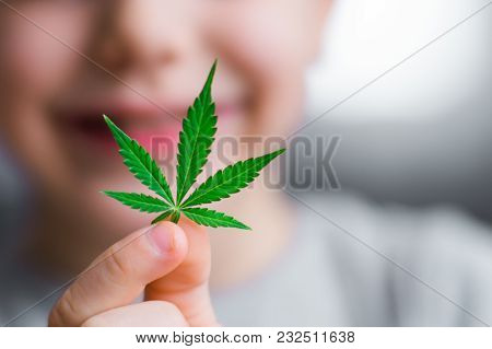 Smiling Kid Child Holding A Hemp Leaf. Concepts Of Using Marihuna For Medicinal Purposes For Childre