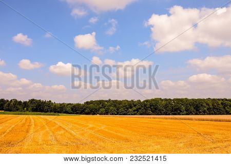 Photo Picture View Of Cultivated Field In The Countryside