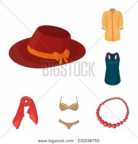 Women Clothing Cartoon Icons In Set Collection For Design.clothing Varieties And Accessories Vector 