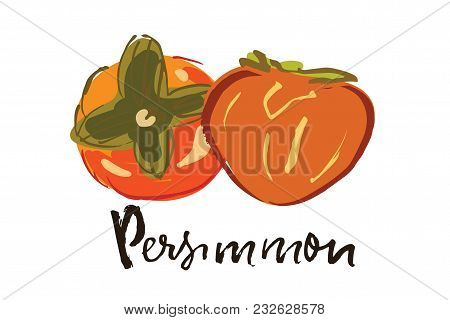 Persimon Hand Drawn Vector Illustration For Your Design