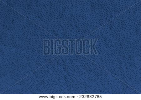 View On The Texture Of The Mushroom Cap - Pores (bottom) -  Background. Spore-producing Structures M