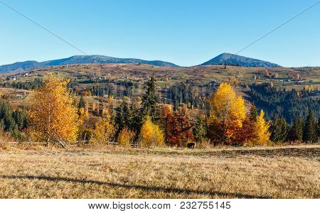 Morning Carpathian Mountains And Village On Slopes (yablunytsia Village And Pass, Ivano-frankivsk Ob